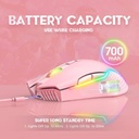 Extra_ICW905P
